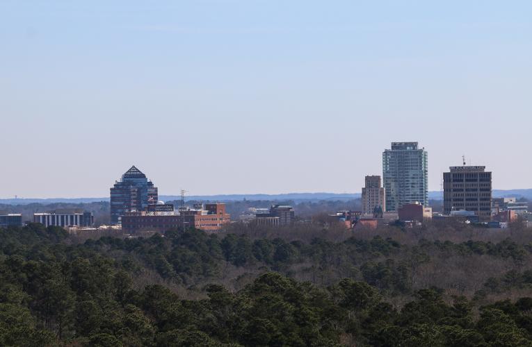 Durham, N.C. skyline