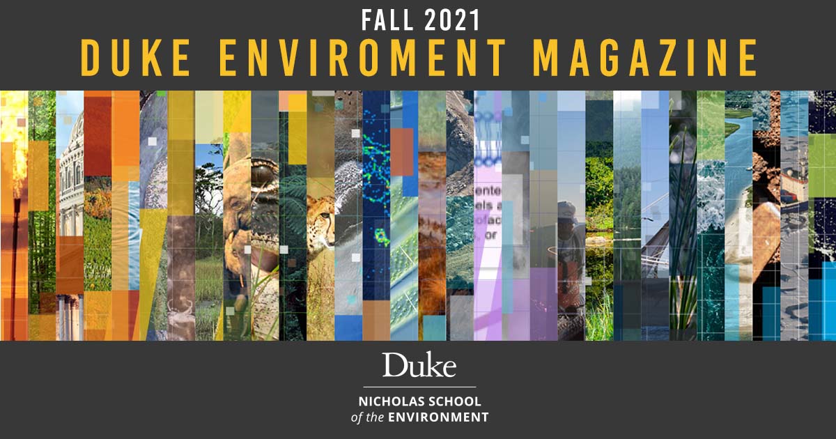 Duke University Press - Fall 2021 Catalogue by Mare Nostrum Group - Issuu