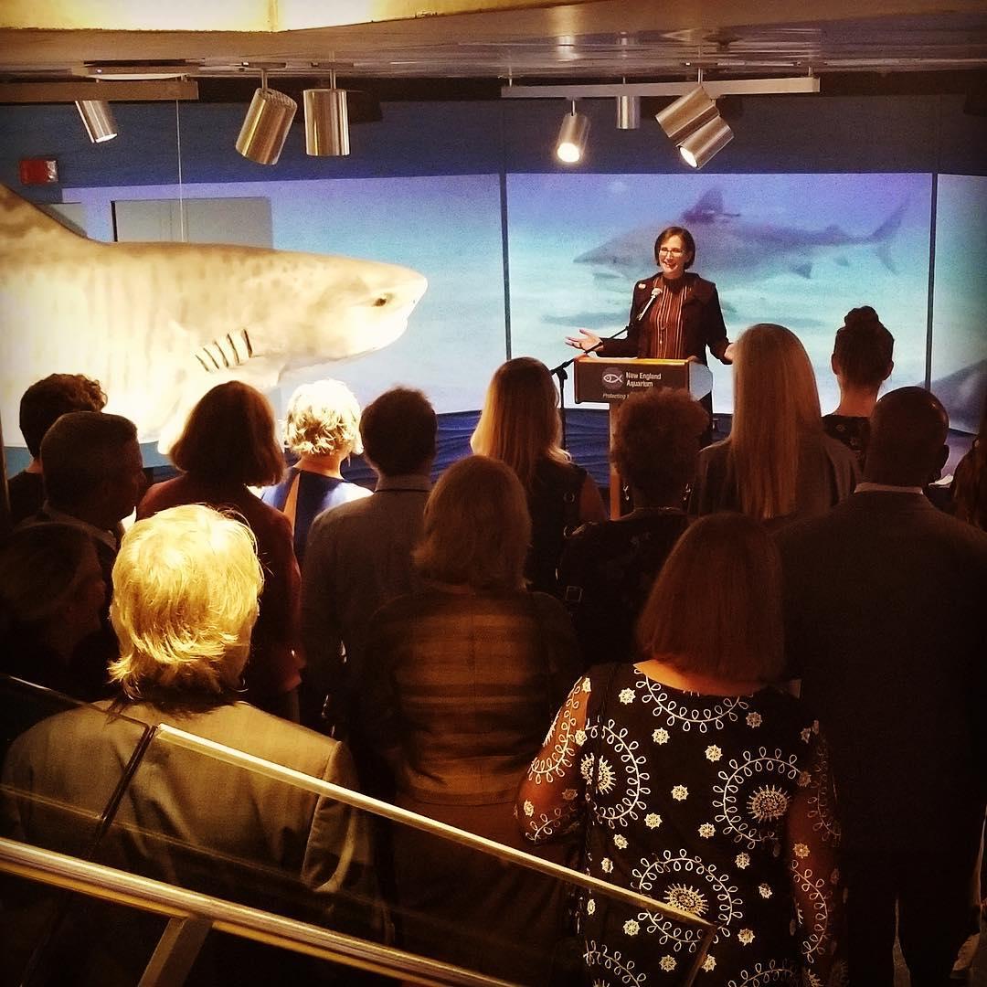 Dean Toddi Steelman addresses alumni at the New England Aquarium