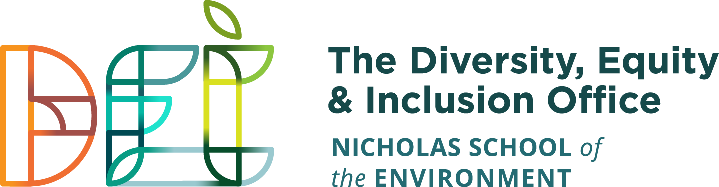 NSOE Diversity Equity and Inclusion Office