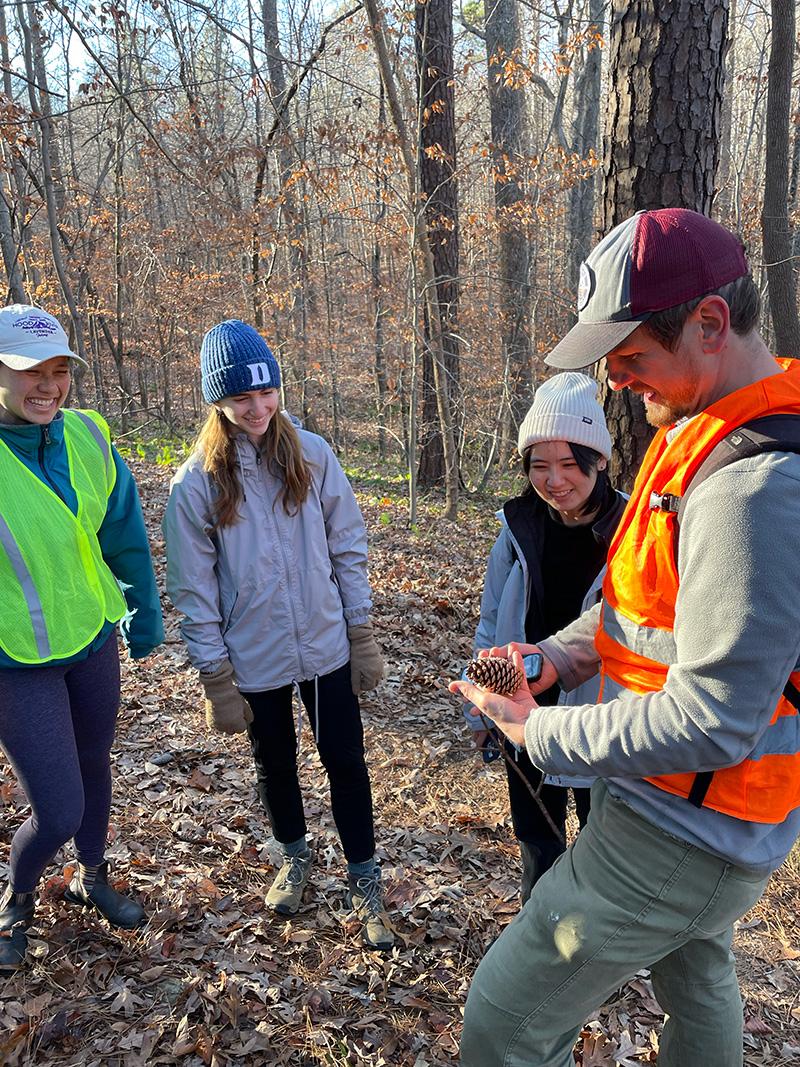 students examine loblolly pinecone in forest