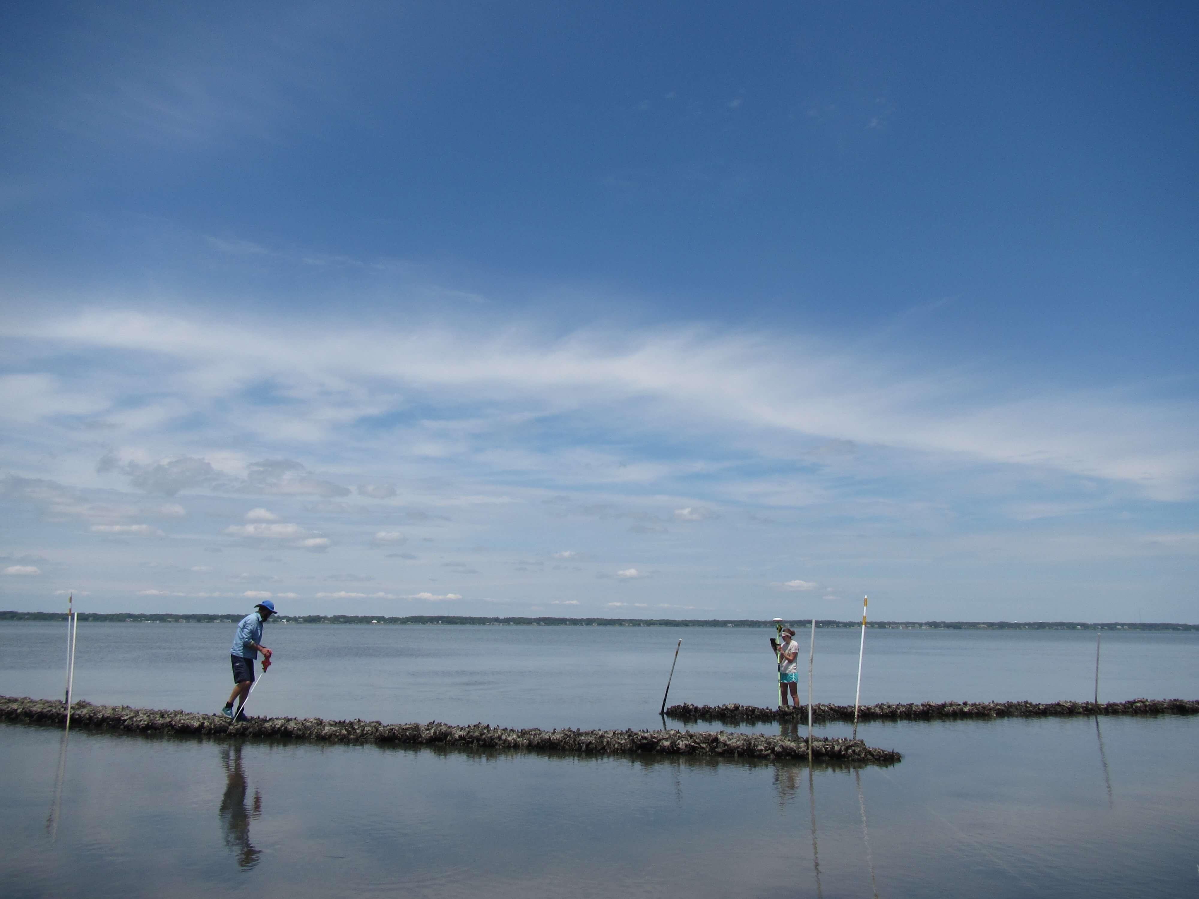 two students working on living shoreline