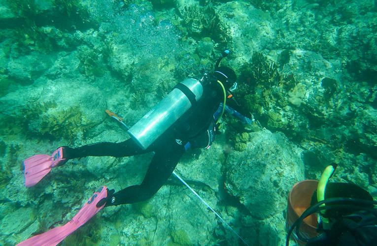 Diving to collect underwater sample
