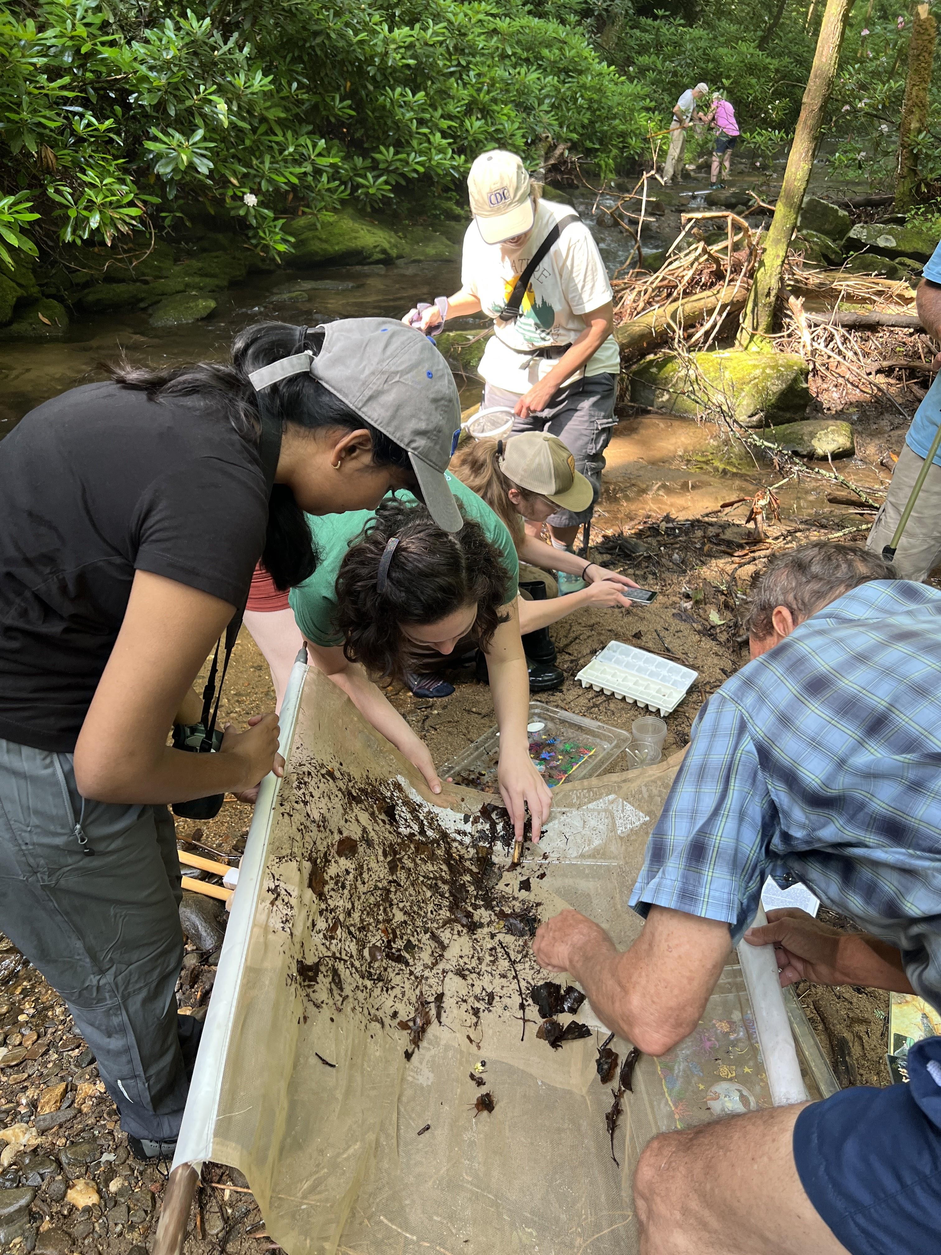 Natasha Jacob participated in a stream ecology walk in the Chattahoochee National Forest.