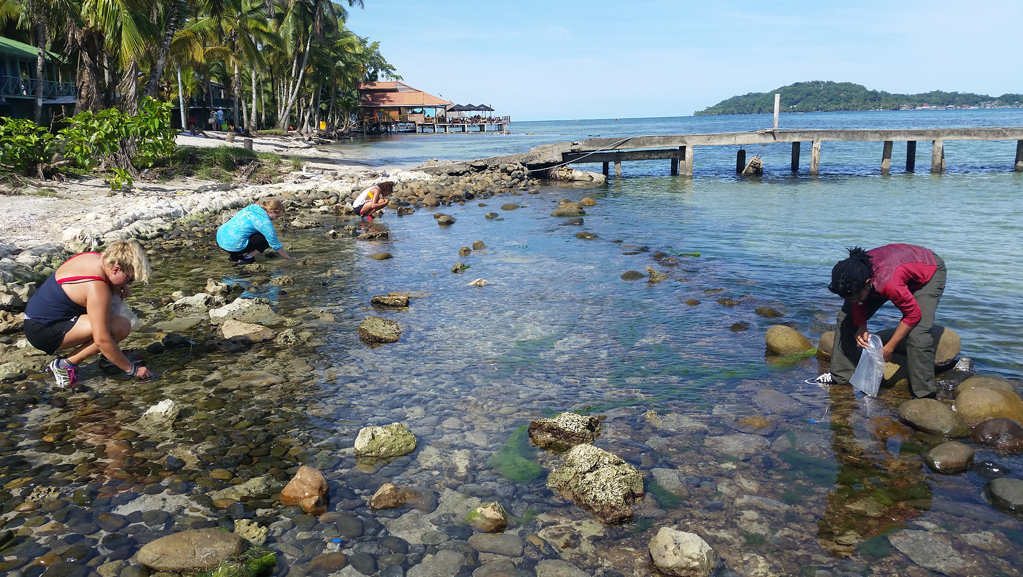 students studying hermit crabs in Panama