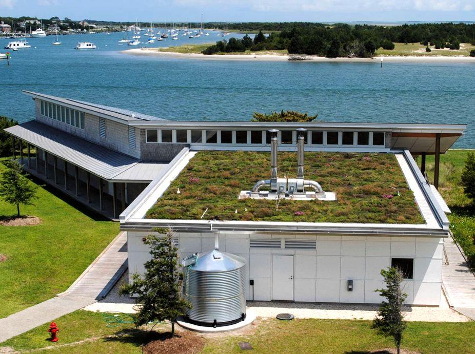 Repass Center Green Roof