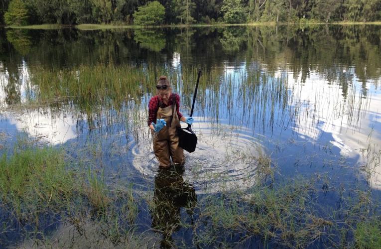 Urban Retention Pond Fly Fishing