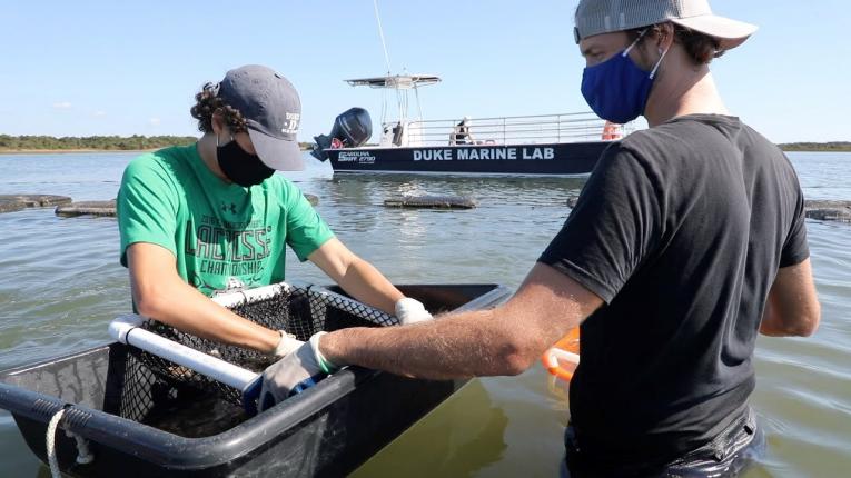 Marine Science & Conservation | Nicholas School of the Environment