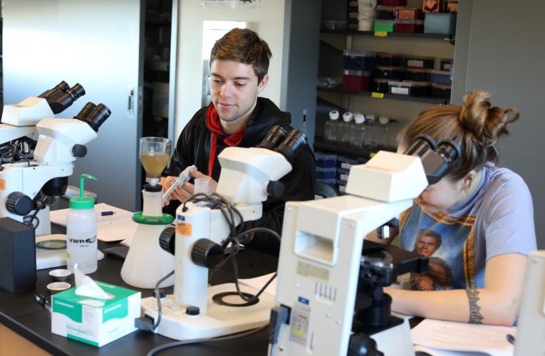 Students using microscopes