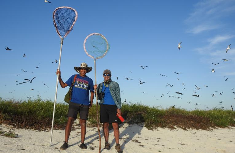 Students researching Sooty Terns at Dry Tortugas National Park