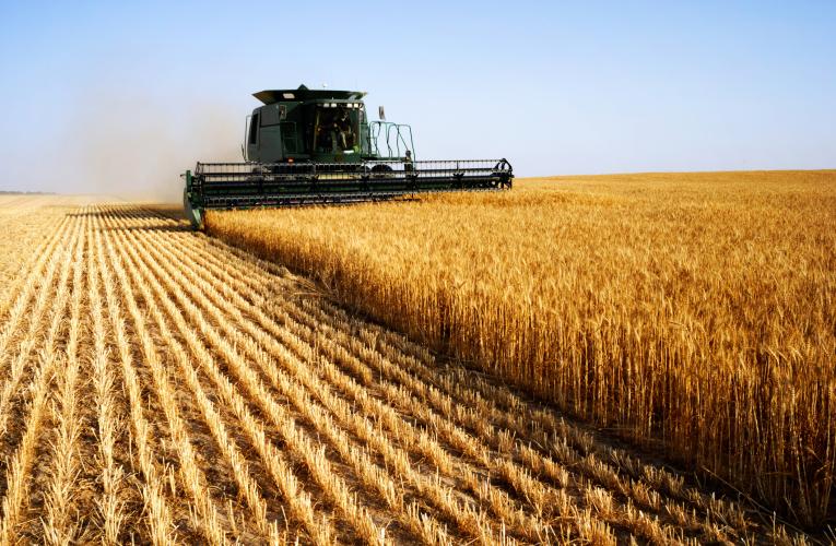 A machine mowing a wheat field