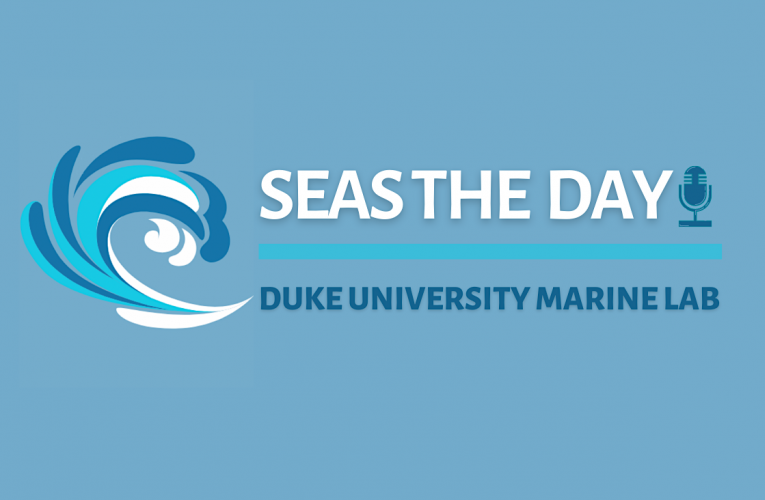 Seas The Day podcast