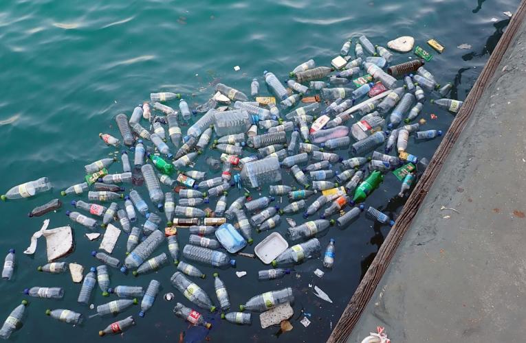 plastic bottles in water