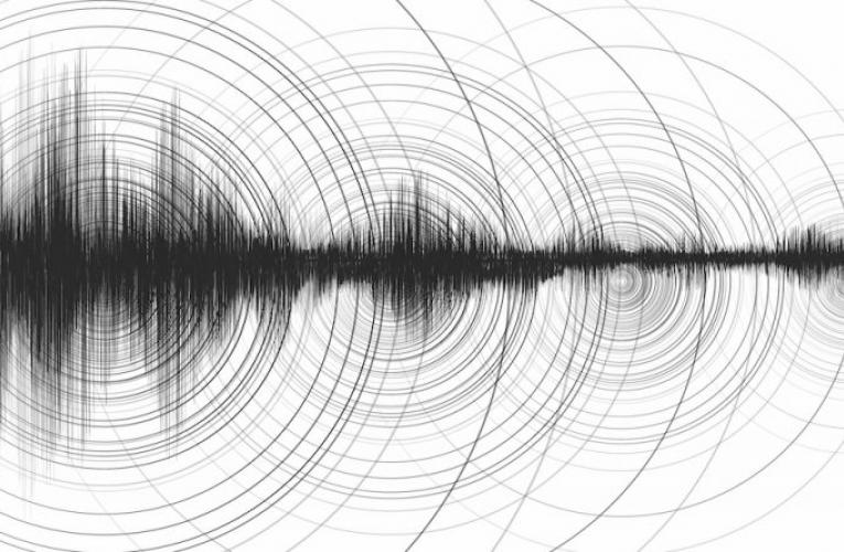 Seismic graphs