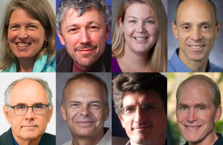Faculty named to the highly cited researchers list