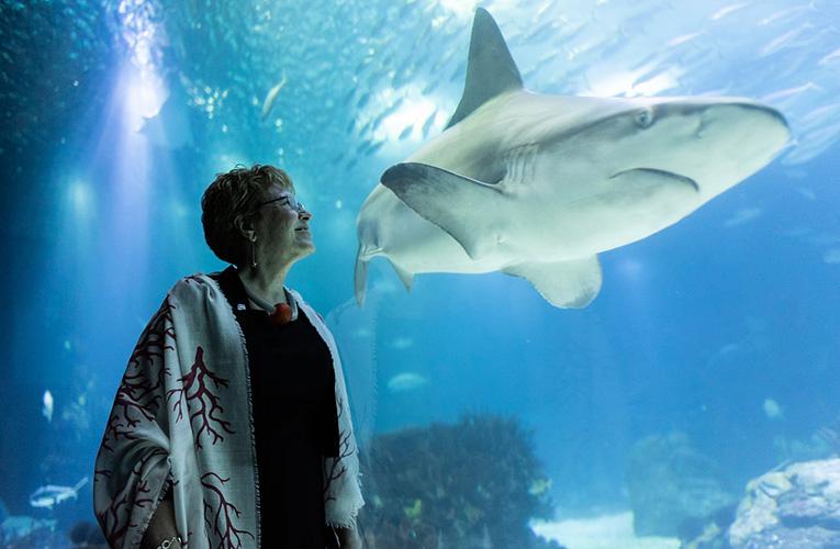 Jane Lubchenco viewing a shark