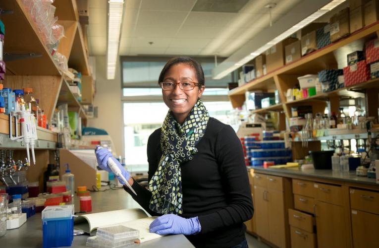 Toxicology PhD student conducts research