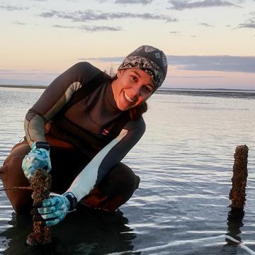 Steph conducting maintenance and data collection in N.C. seagrasses