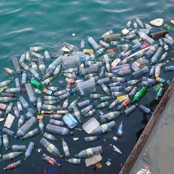 plastic bottles in water