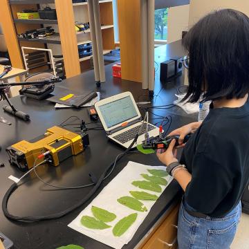 student working in lab with plant matter