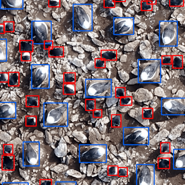 Colonies of black-browed albatrosses and southern rockhopper penguins