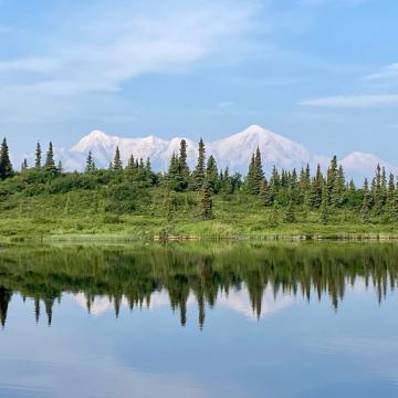 arctic mountains behind evergreen treeline