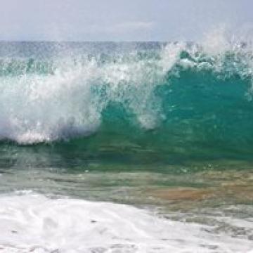 ocean filmmaking camp image 