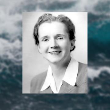 Rachel Carson | photo credit: U.S. Fish and Wildlife Service 